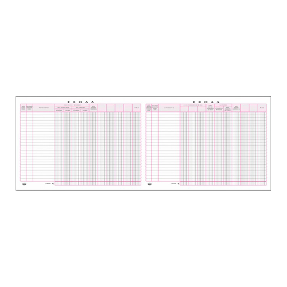 800.127 TYPOTRUST ΒΙΒΛΙΟ ΕΣΟΔΩΝ-ΕΞΟΔΩΝ 25x33cm 100 ΦΥΛΛΑ - Image 1