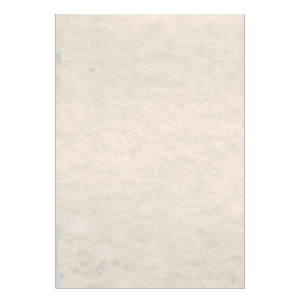 810.180.2053 LAGUNA ΧΑΡΤΙ ΠΑΠΥΡΟΣ Α4 180gr ΑΜΜΟΥ 125 ΦΥΛΛΑ - Image 1