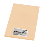 FOLIA ΧΑΡΤΟΝΙ Α4 220gr CHAMOIS ΜΠΕΖ 100 ΦΥΛΛΑ