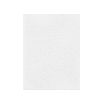 FAVINI ΧΑΡΤΟΝΙ 50x70cm 220gr ΛΕΥΚΟ Νο03