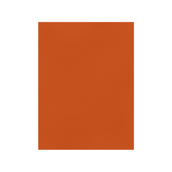 FAVINI ΧΑΡΤΟΝΙ 50x70cm 220gr ΠΟΡΤΟΚΑΛΙ Νο09