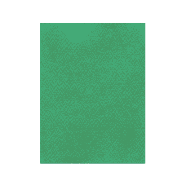 FAVINI ΧΑΡΤΟΝΙ 50x70cm 220gr ΠΡΑΣΙΝΟ Νο16