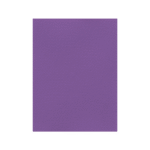 FAVINI ΧΑΡΤΟΝΙ 50x70cm 220gr ΒΙΟΛΕΤΙ Νο19