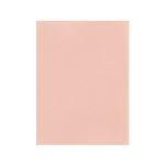 FAVINI ΧΑΡΤΟΝΙ 50x70cm 220gr ΡΟΖ ΣΟΛΩΜΟΥ Νο25