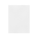 FAVINI ΧΑΡΤΟΝΙ 70x100cm 220gr ΛΕΥΚΟ Νο03