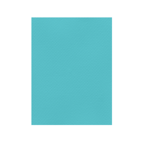 FAVINI ΧΑΡΤΟΝΙ 70x100cm 220gr ΤΥΡΚΟΥΑΖ Νο22