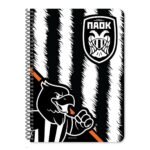 ΤΕΤΡΑΔΙΟ ΣΠΙΡΑΛ 17Χ25 2ΘΕΜ 60Φ  ΠΑΟΚ  2ΣΧ. - Image 3