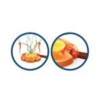 Ψεκαστήρι Νερού Λουλούδι Luna Toys 17x22x21,5 εκ. - Image 4